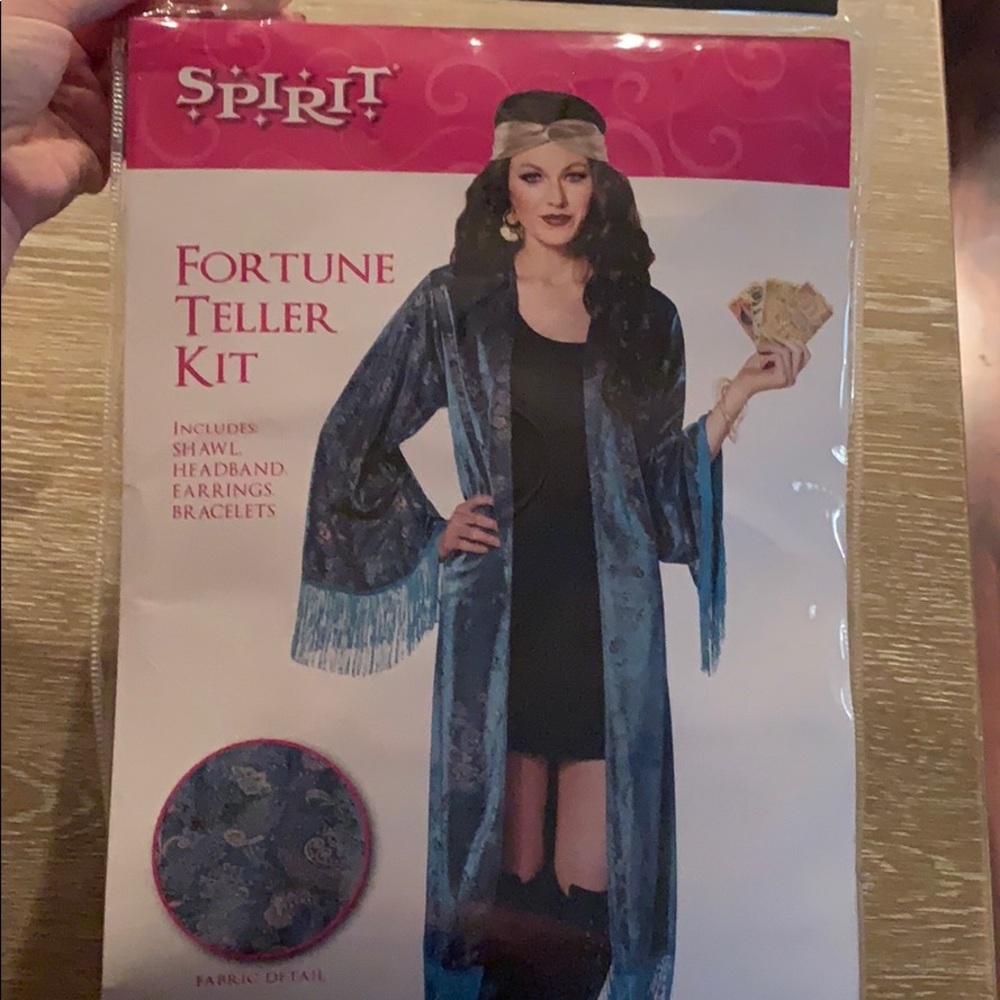 Fortune Teller Costume
